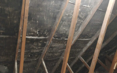 Professional removal of spray foam: Watch us work