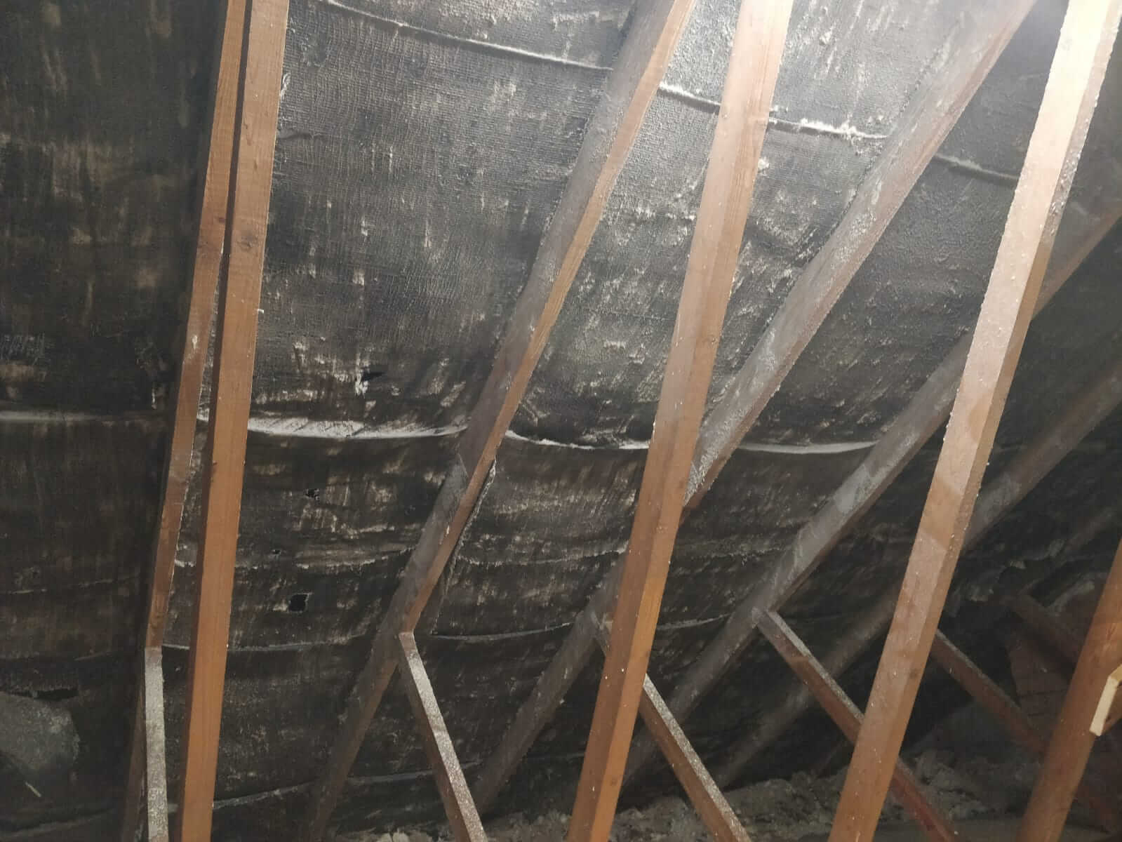 WhatsApp-Image-2022-05-18-at-12.22.16-AM-1.jpeg House rafters after polar blast has Professional removed spray foam insulation