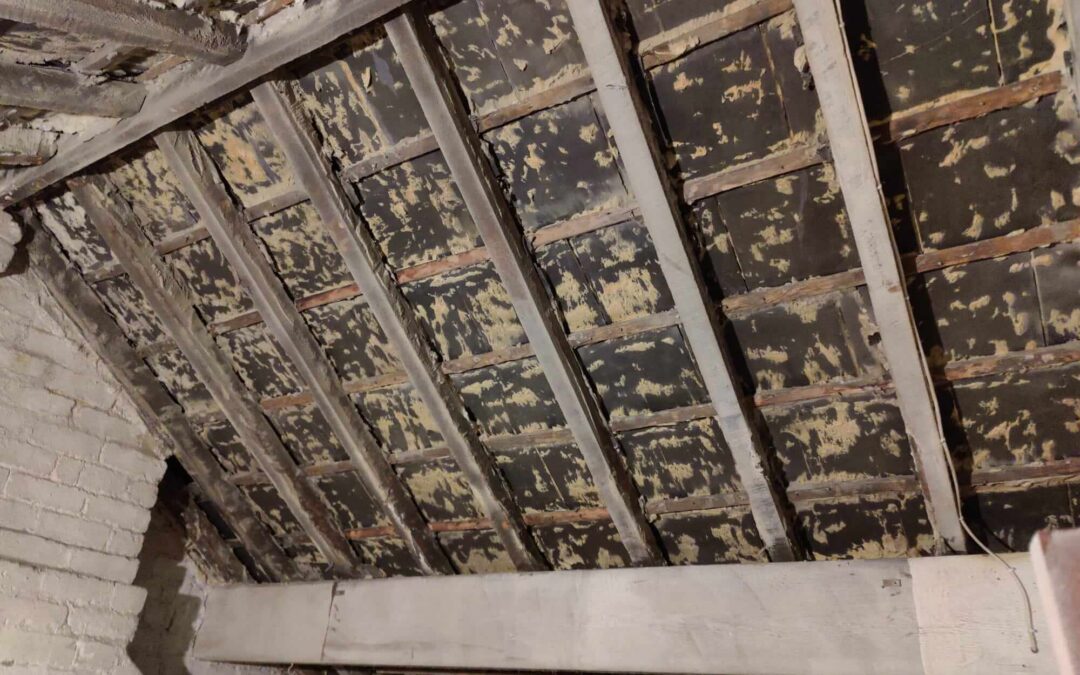 Top 10 Reasons to Choose Professional Spray Foam Removal by Polar Blast