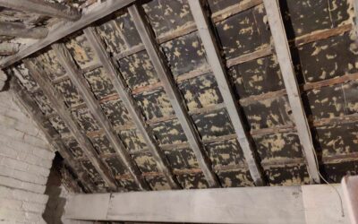 Top 10 Reasons to Choose Professional Spray Foam Removal by Polar Blast