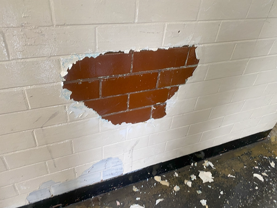 DOFF Steam Cleaing Paint off Walls